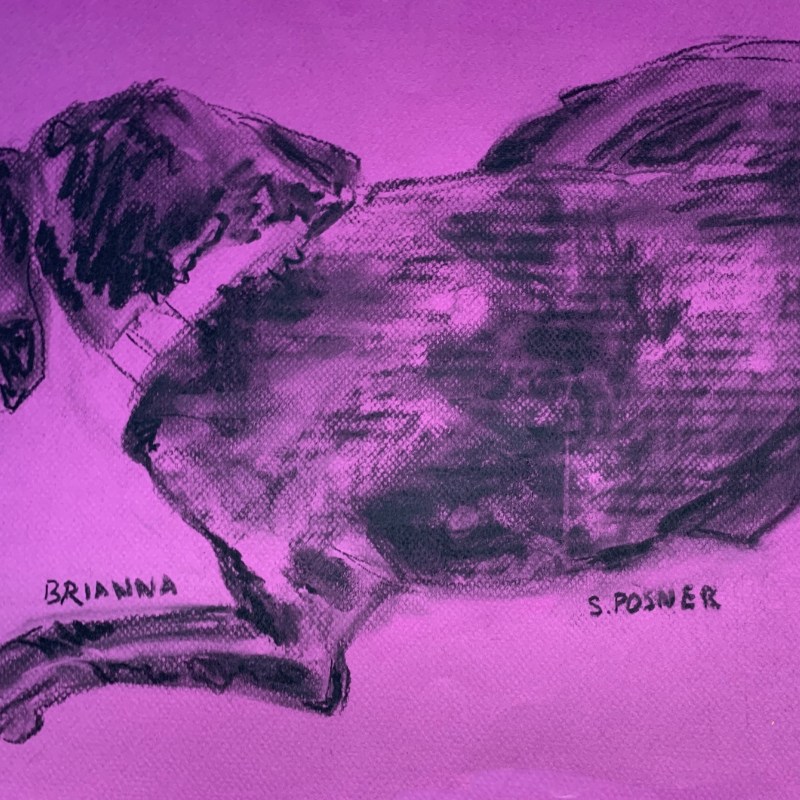 Sculptures and Paintings by Suzanne Posner